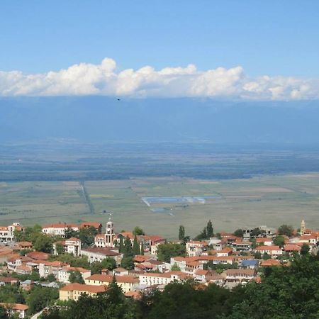 Family Hotel In Nukriani , 2Km From Sighnaghi Luaran gambar