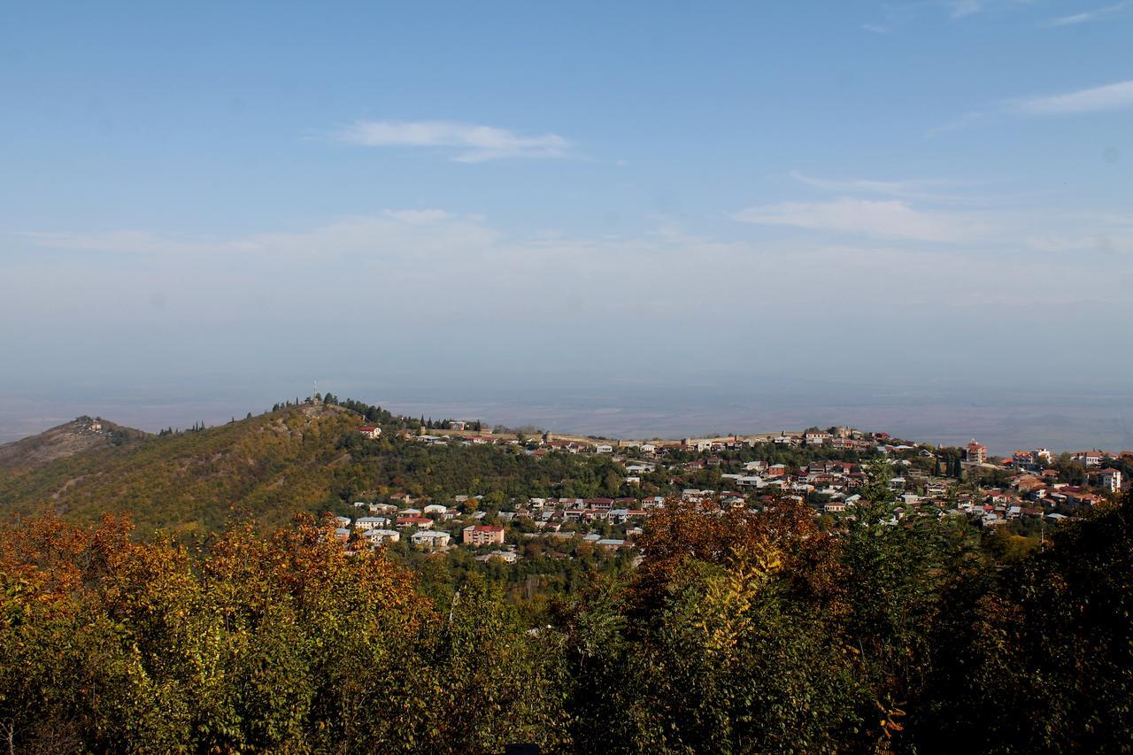 Family Hotel In Nukriani , 2Km From Sighnaghi Luaran gambar