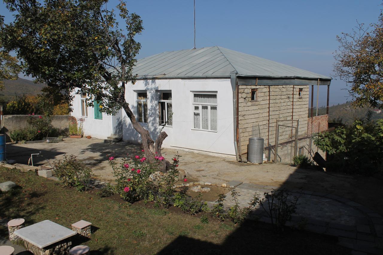 Family Hotel In Nukriani , 2Km From Sighnaghi Luaran gambar