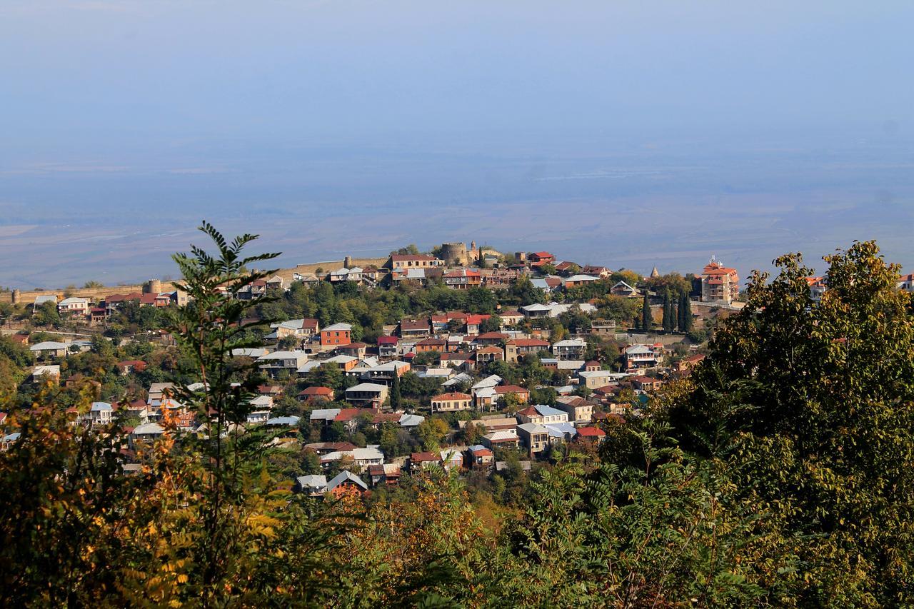 Family Hotel In Nukriani , 2Km From Sighnaghi Luaran gambar