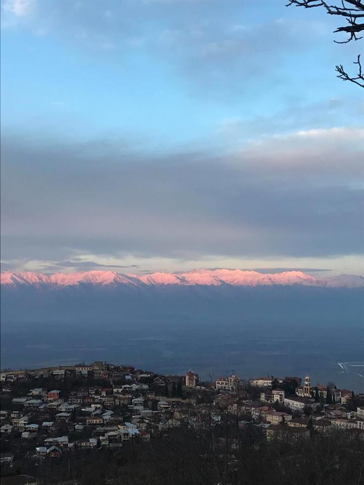 Family Hotel In Nukriani , 2Km From Sighnaghi Luaran gambar