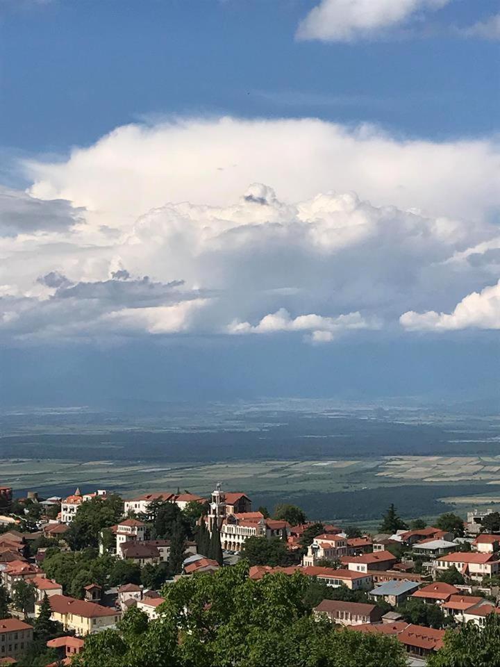 Family Hotel In Nukriani , 2Km From Sighnaghi Luaran gambar