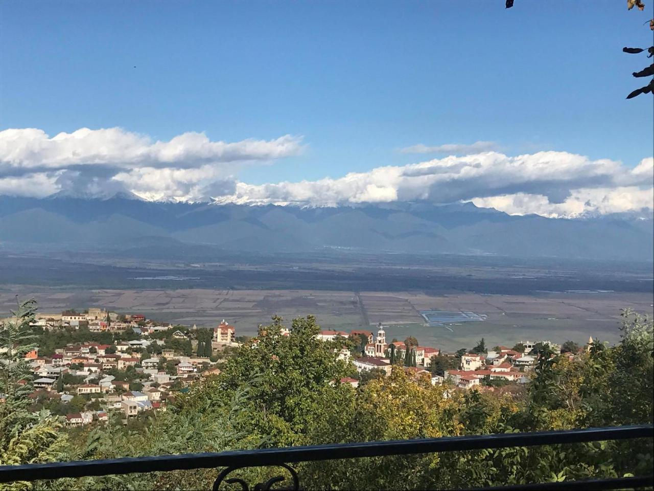 Family Hotel In Nukriani , 2Km From Sighnaghi Luaran gambar