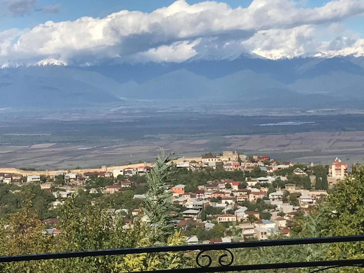 Family Hotel In Nukriani , 2Km From Sighnaghi Luaran gambar