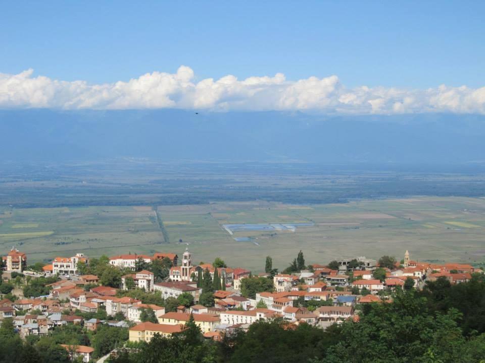 Family Hotel In Nukriani , 2Km From Sighnaghi Luaran gambar